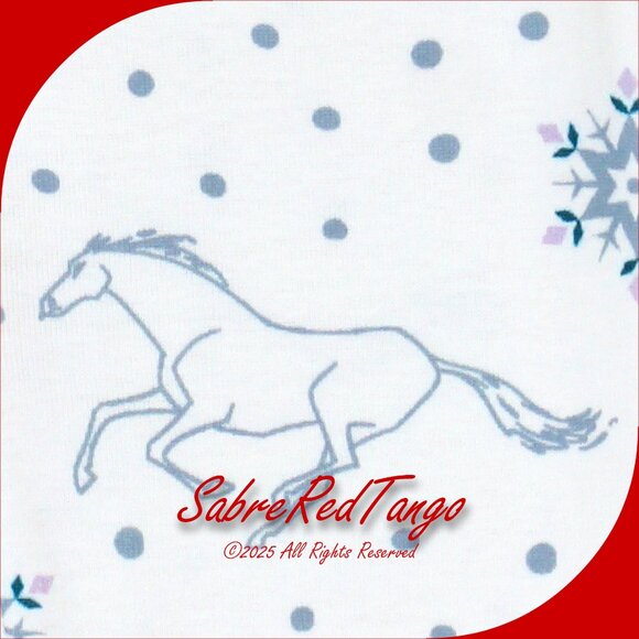 NWT Hanna Andersson Organic Long Johns Pajamas Disney Frozen Elsa 110 5 - Picture 3 of 4